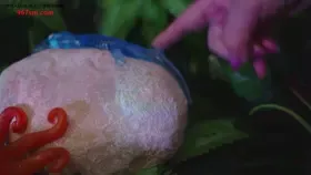 yoonying_触手岛冒险角色扮演_触手岛冒险角色扮演 (图1)