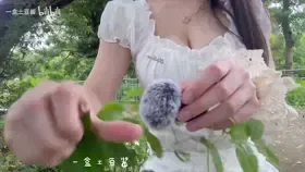 一盒土豆酱_充电【助眠】户外助眠 (图1)