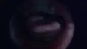 布鲁比呐呐_鱼眼镜头鱼眼镜头_3_1 (图1)