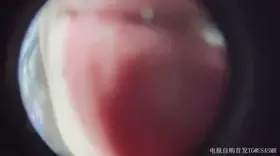布鲁比呐呐_鱼眼镜头舔屏_布鲁比呐呐11 (图1)