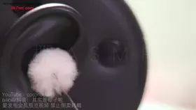 椰子_N清理耳朵后近距离天鹅 (图1)