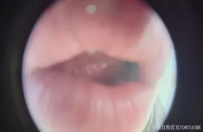 布鲁比呐呐6 (图1)