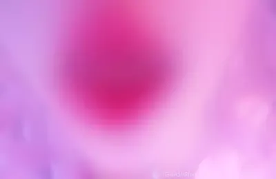 小羊喵_【祝哥哥2024元旦快乐】今天是梦幻的粉色芭比，希望哥哥会喜欢 (图1)