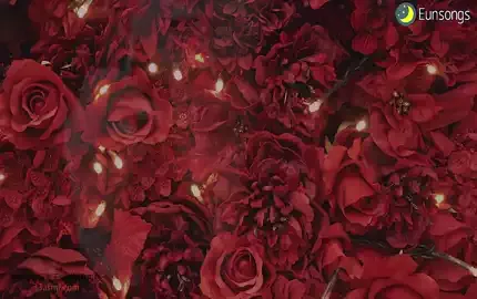 EUNSONGS_助眠吃棒棒糖 (图1)