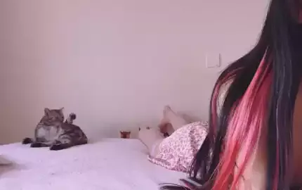 【AKL秋水】ASMR 小猫咪能有什么坏心思呢 (图1)