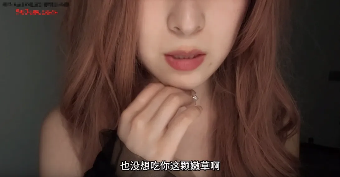 小灿助眠 舔屏专题 (图2)