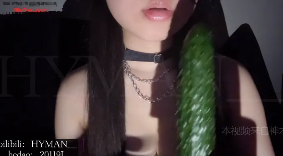 HYMAN_520视频黄瓜2 (图1)