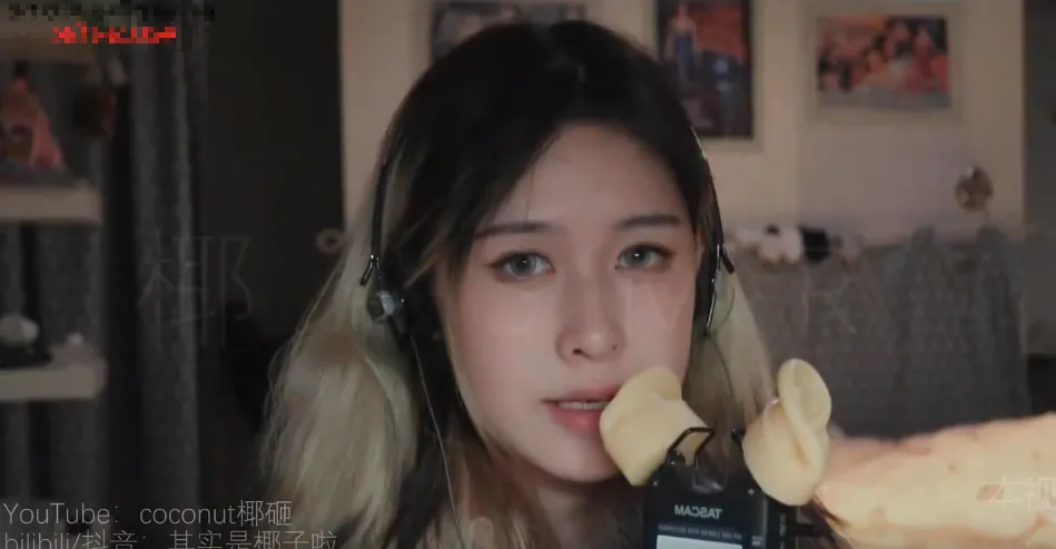 其实是椰子啦 录音笔假耳天鹅 (图1)