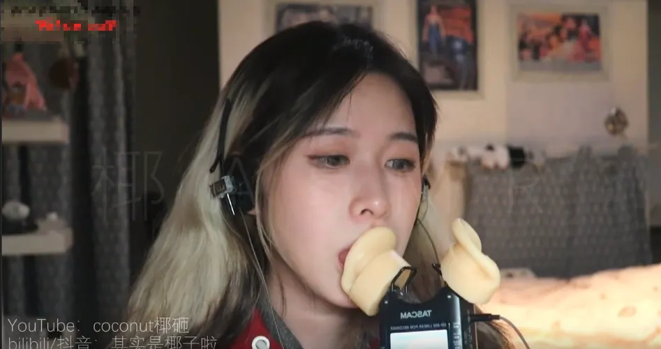 其实是椰子啦 录音笔假耳天鹅 (图2)
